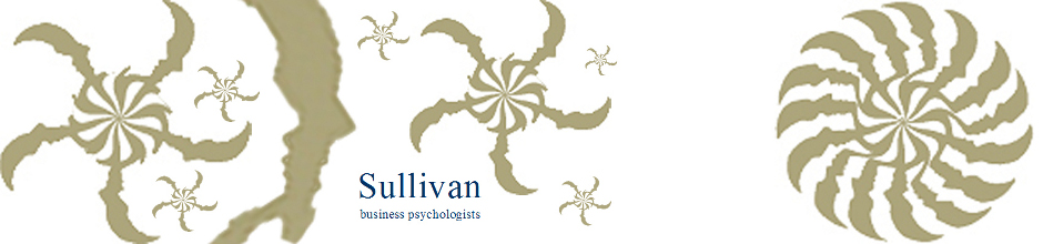 sullivan bp banner